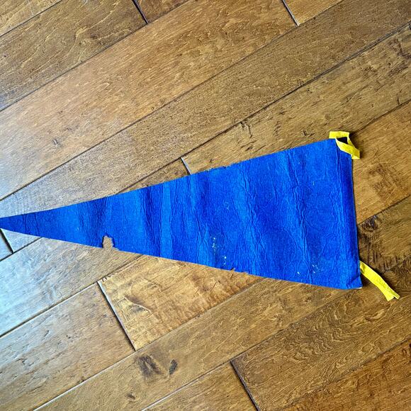 Vtg National Orange Show San Bernardino California Felt Pennant MCM Souvenir 28" - Picture 3 of 6